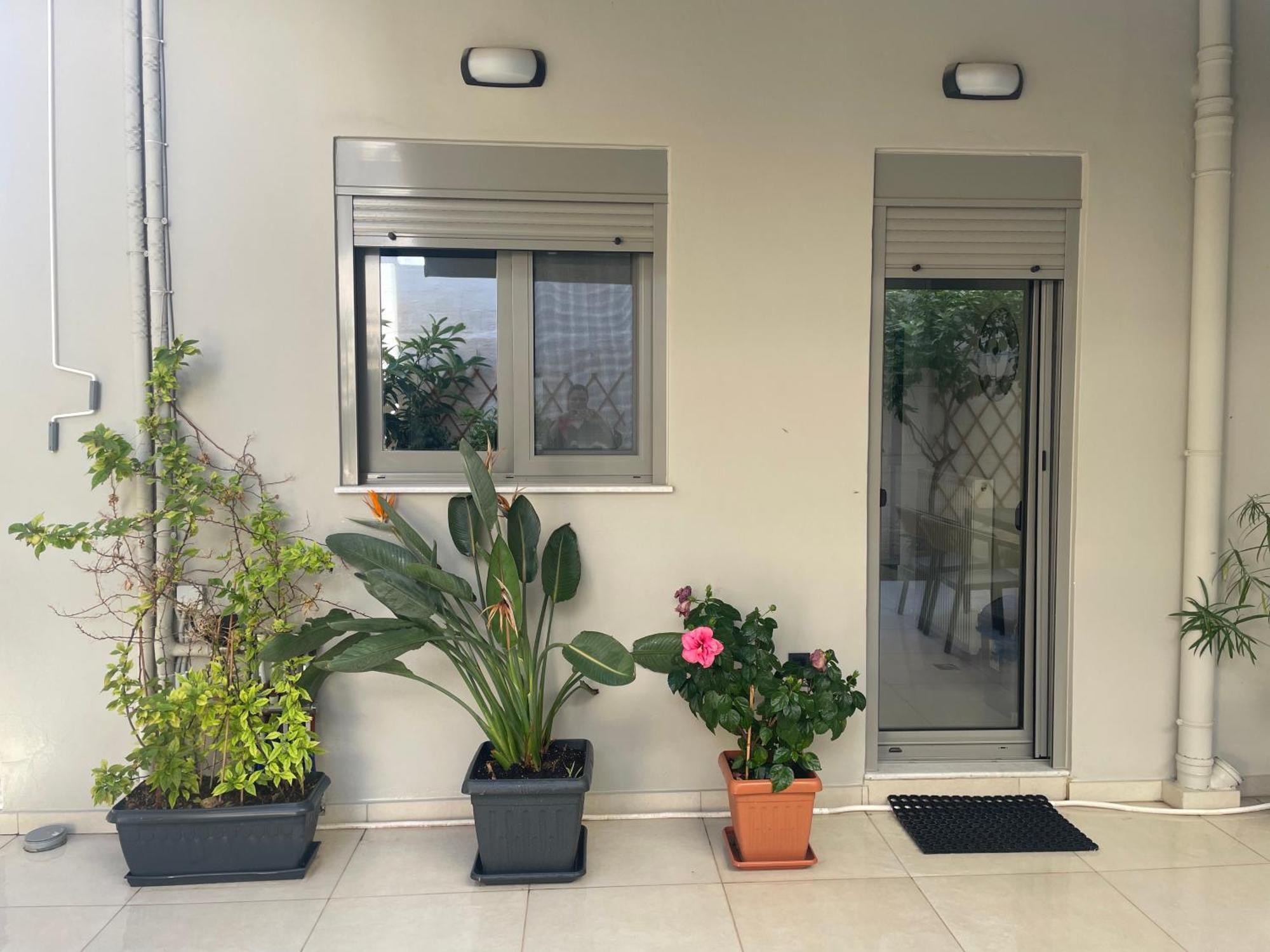 Leonidas House خانيا المظهر الخارجي الصورة