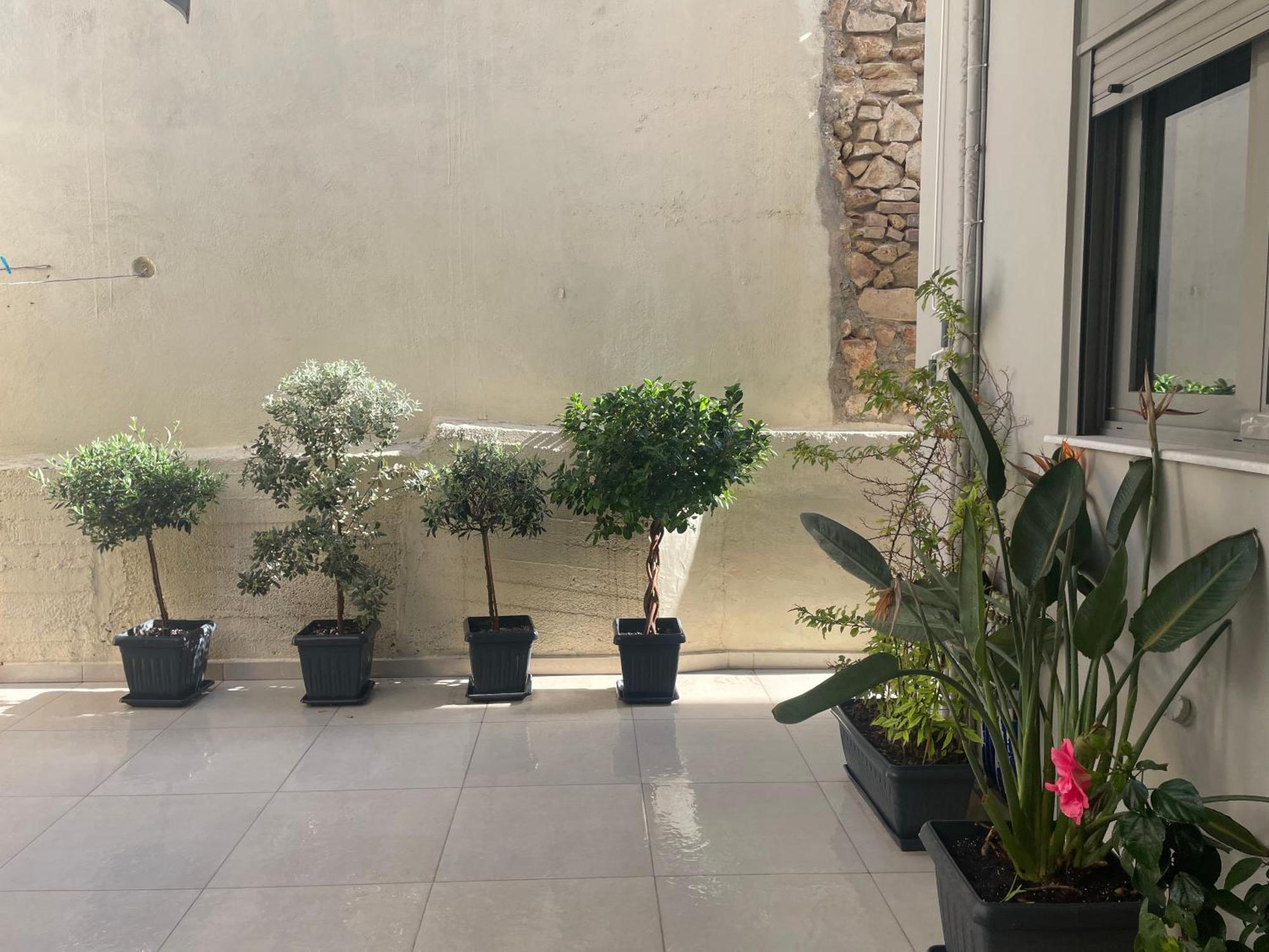 Leonidas House خانيا المظهر الخارجي الصورة