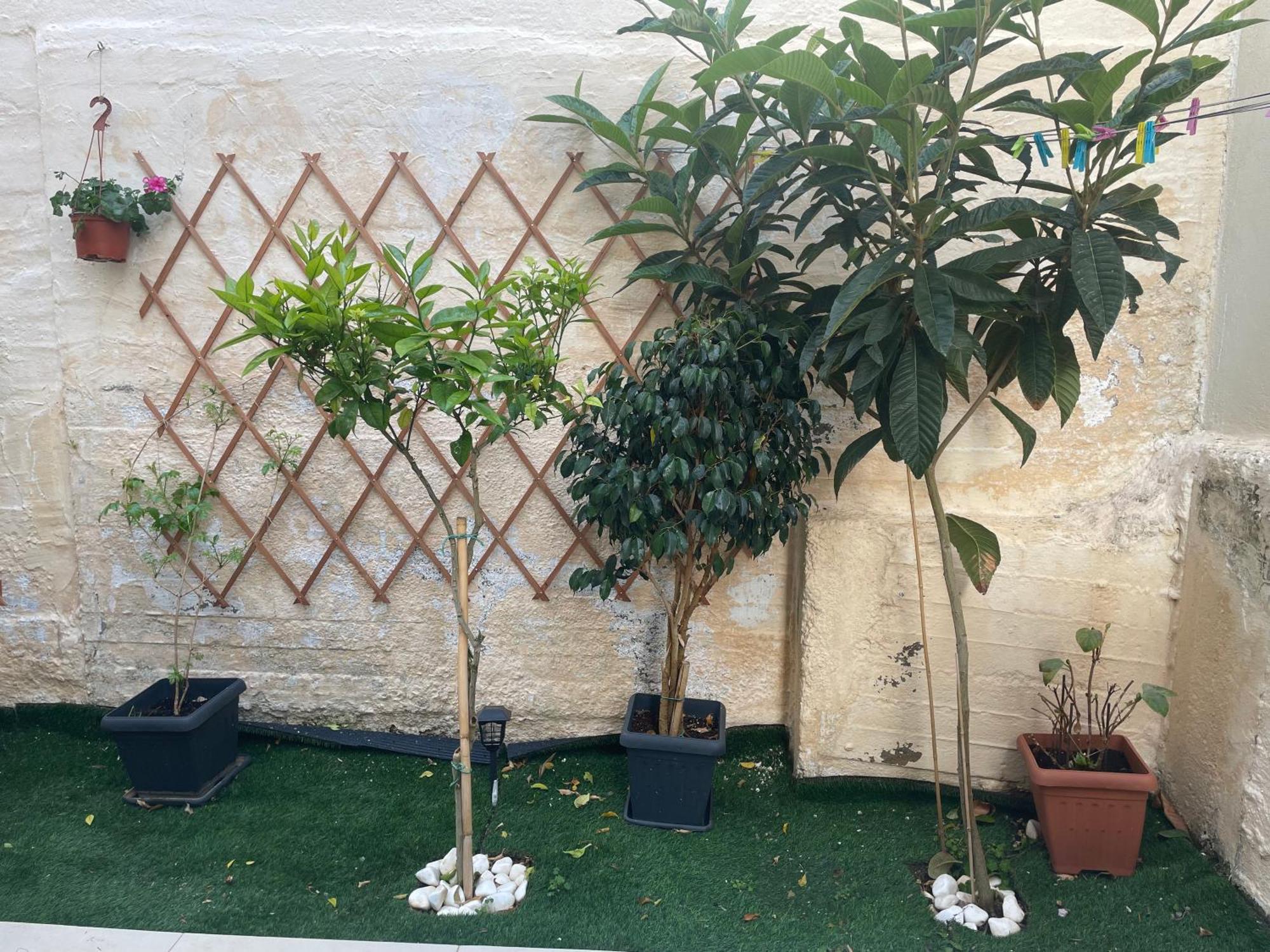 Leonidas House خانيا المظهر الخارجي الصورة